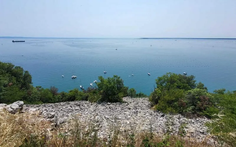 img20230618wa0009.jpg